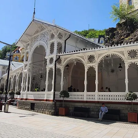 Centrum Divadelni 아파트 카를로비바리